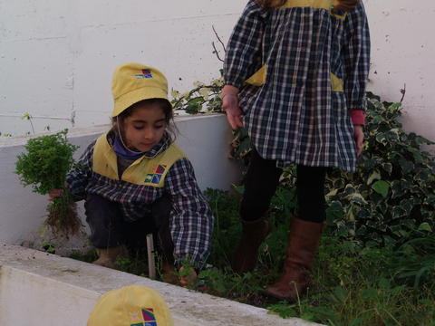 Crianças ajudam a retirar as ervas